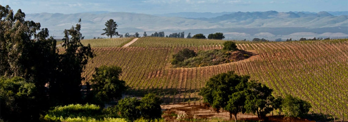 Presqu’ile Winery, California, U.S.A.