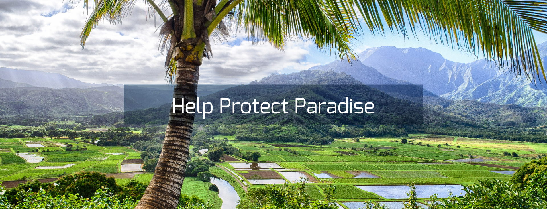 Help Protect Paradise