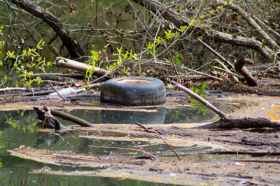 Current ground water during sea level rise